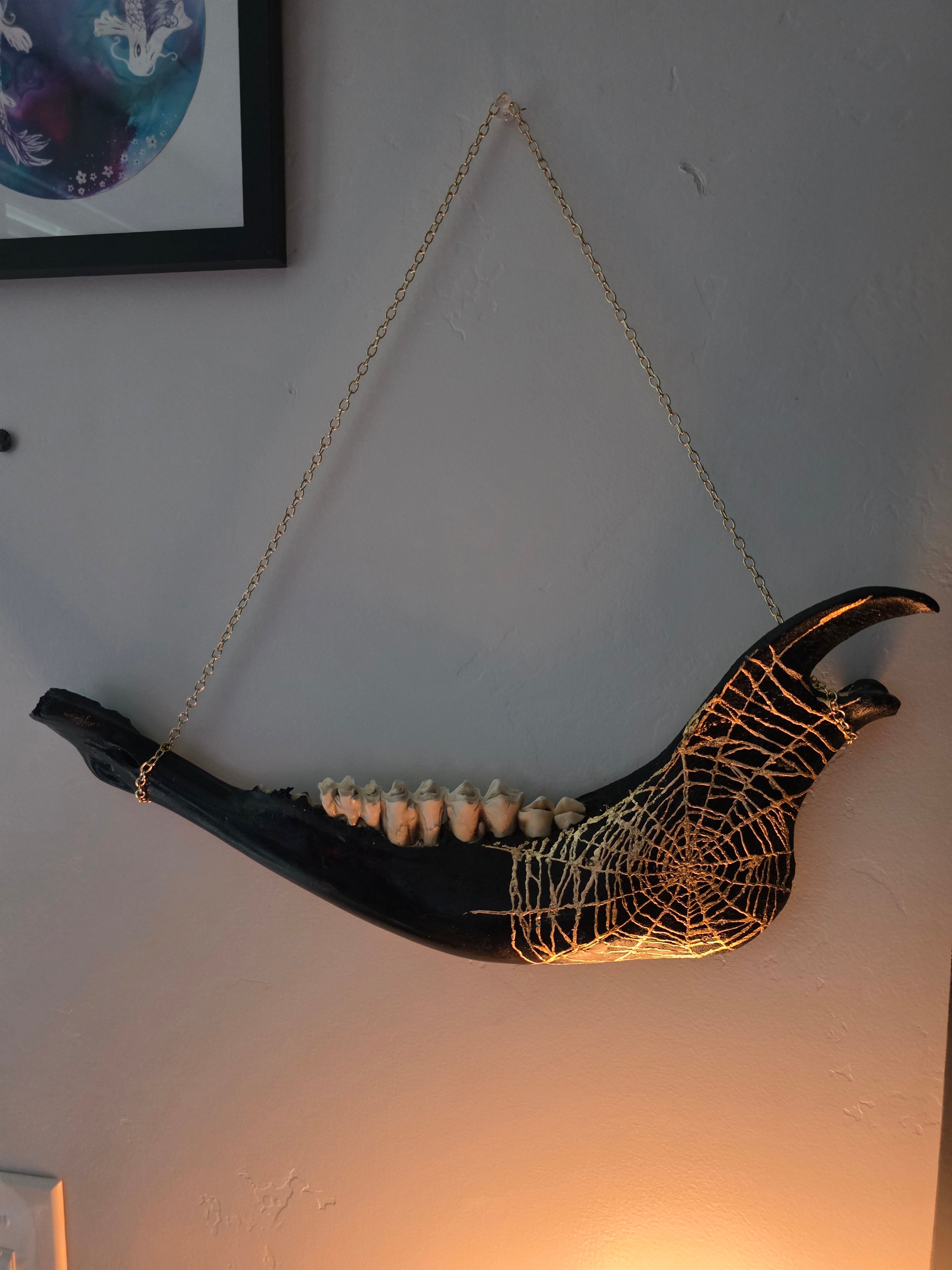 Black Jaw Bone with Gold Spider Web Hanging