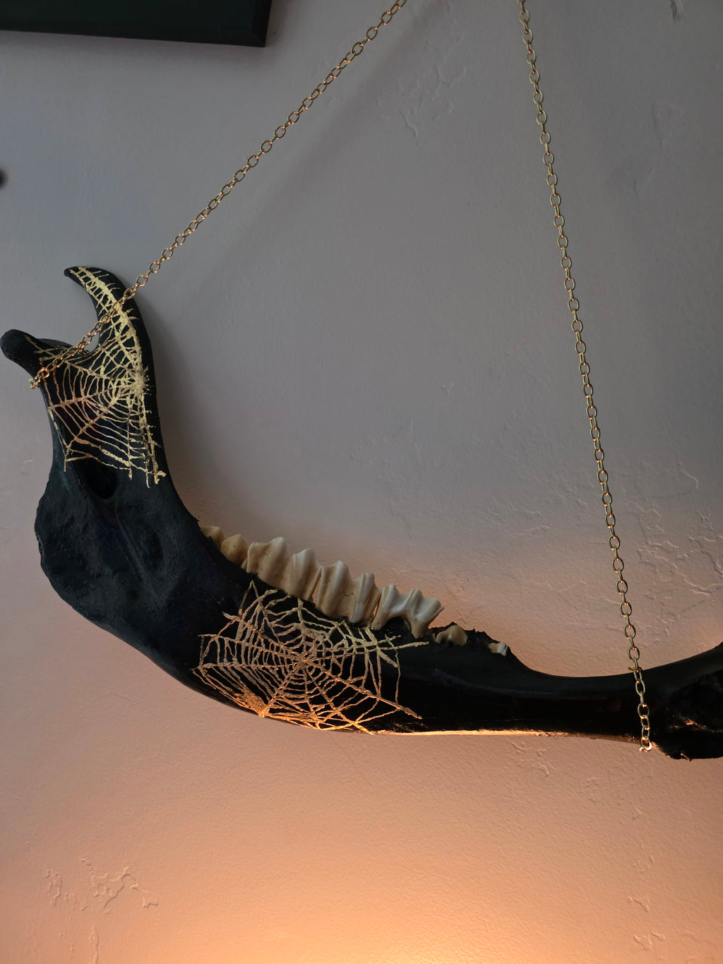 Black Jaw Bone with Gold Spider Web Hanging